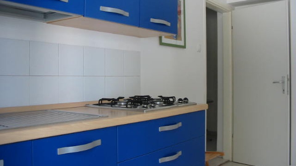 Rivulus ILIC 6