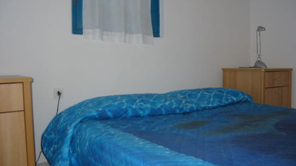 Rivulus ILIC 6